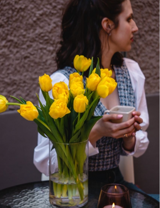 Yellow peony tulips - Lemon boom